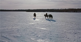 Jamie&#39;s Top 100 Movies