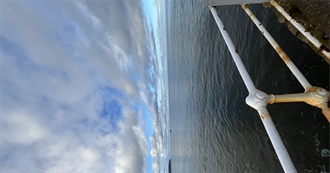 100 Books That Helped Shape Rosa