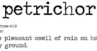 Suzy B&#39;s Favorite Scents