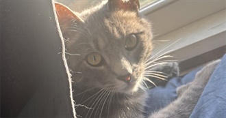 Korl&#39;s List of Movies, Good or Bad