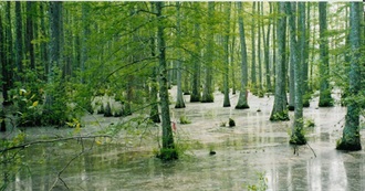 Planetware&#39;s 8 Top-Rated Tourist Attractions in Mississippi (Plus 2)