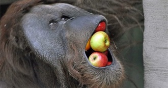 Kyle&#39;s Reading Summary 2024