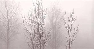 2025 Updated Albums From 1972 That Steve Has Listened To