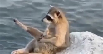 Kiwi&#39;s Read Books (2024)