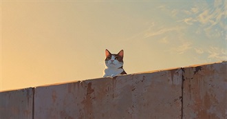 The Books I&#39;ve Read in the Last 4 Years