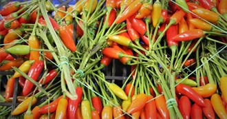 100 Foods With Chilies