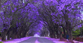 Gjera Te Ftohta (Random Cool Things)