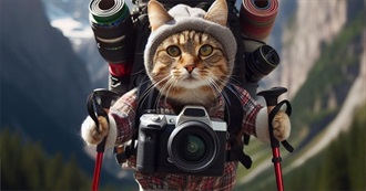 Books I&#39;ve Read That You May Not Have Heard of **10