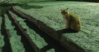 Every Media That Make Me Feel Uneassy