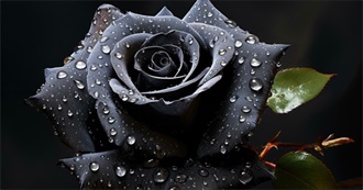 Leaha&#39;s Nostalgia