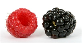 This or That or That or That? - Part 1: Fruit