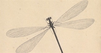 Books Darner Read in 2017