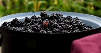 Favourite Foods Starting With B