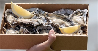 Big T&#39;s Popular Foods and Drinks of New Zealand Part 4