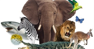 Top 10 Favorite Animals by SS