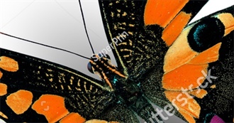 Jv&#39;s Favourite Musics