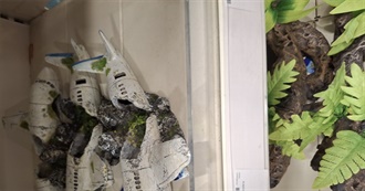 Nobby&#39;s Important Albums