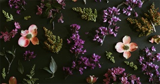 Green, Purple &amp; Florals