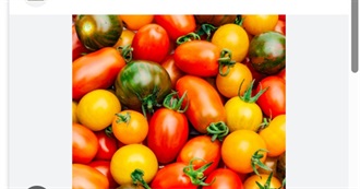 Big T&#39;s Food Eaten Today 1147