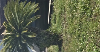 Radgritty&#39;s Horrible List