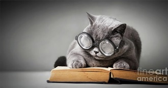 Books Read Up to 2023: Birth to Middle Age