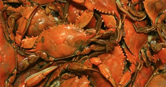 What David Ate - Day 457