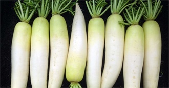 DURABLE- DAIKON (RADISH)