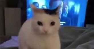 Books System32 Has Read