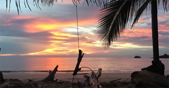 The Deserted Island Library of Lucy