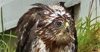 &#128065;️ Favorite 30 Albums List &#128065;️