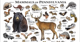 Wildlife in Pennsylvania