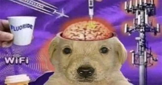 Roro&#39;s Movie Shelf