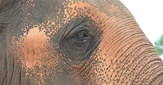 Places Where Skipper M&#39;s Passports Were Stamped