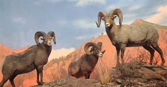 Mitchell&#39;s Favorite Movies