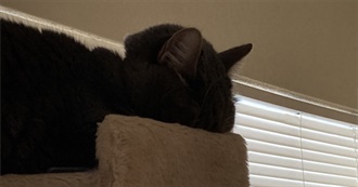 Iggy&#39;s Fave Movies