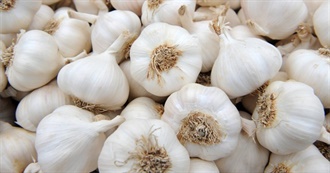 Garlic&#39;s Games :3