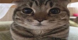 Heather&#39;s Iconic..? Video Games