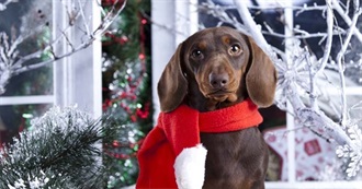 Ar&#39; Favorite Movies