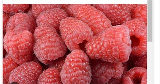 Big T&#39;s Food Eaten Today 710