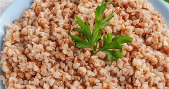 What a Sloth Ate - 7