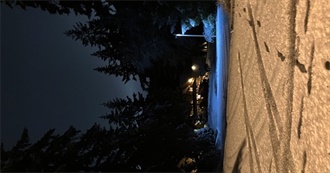 Anomie&#39;s Top 100 Movies