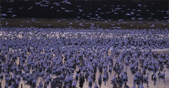 Federally Protected Areas of Maryland &amp; Delaware