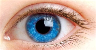 How Many Have You Seen Today?