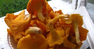 Unusual Foods I&#39;ve Had