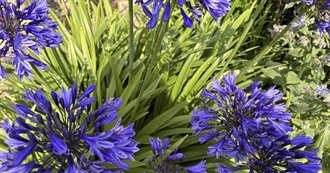 Early August Reading 2025