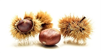 Foods With Chestnuts