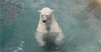 Animals You&#39;ve Seen