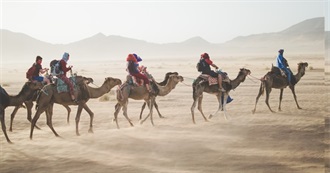 Charlie&#39;s City Adventure