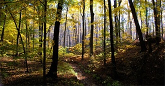 Every Album Listened to in January 2026