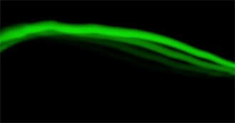 Some of This Nitwit&#39;s Favoriite Movies